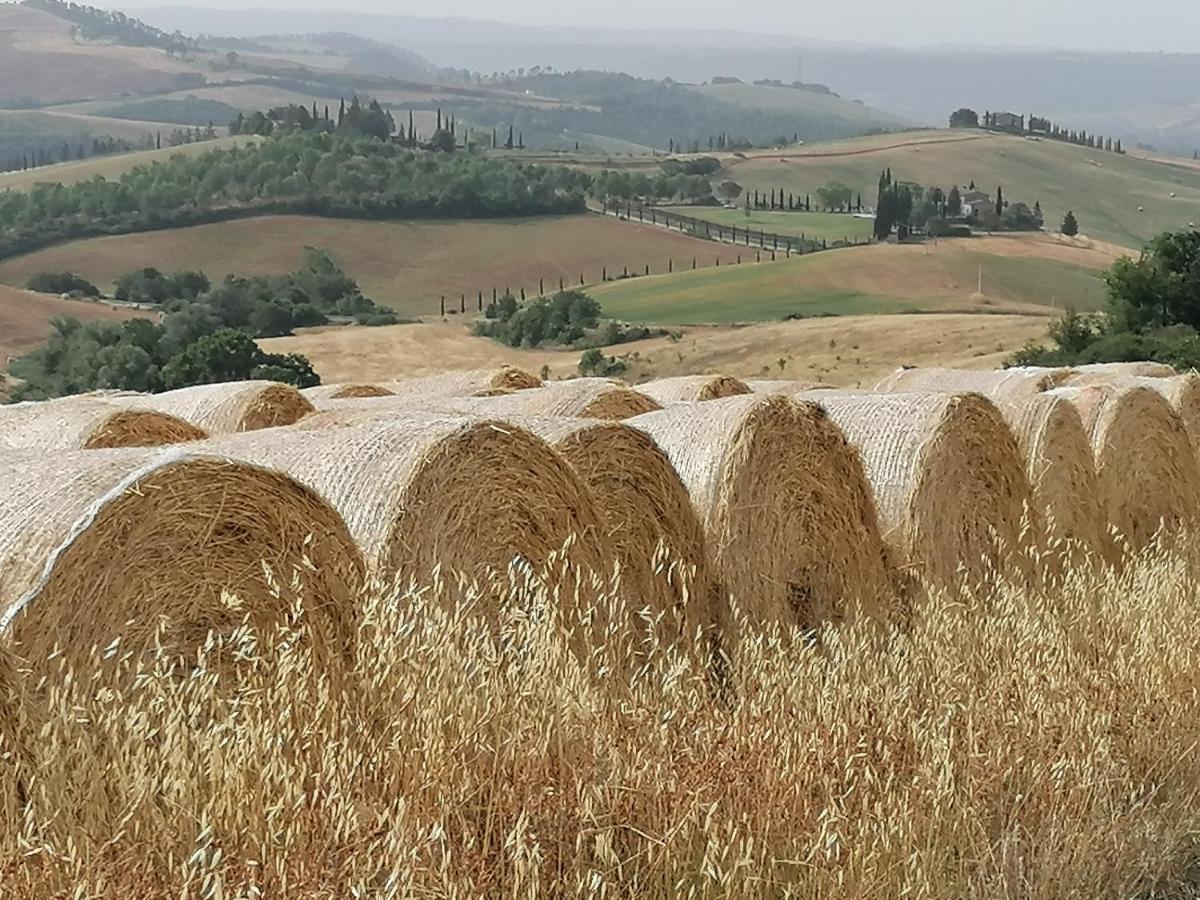 Casa Vacanze Carducci San Casciano dei Bagni Exteriör bild